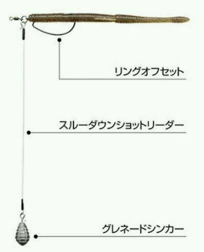 日記 3 Bass漁業組合